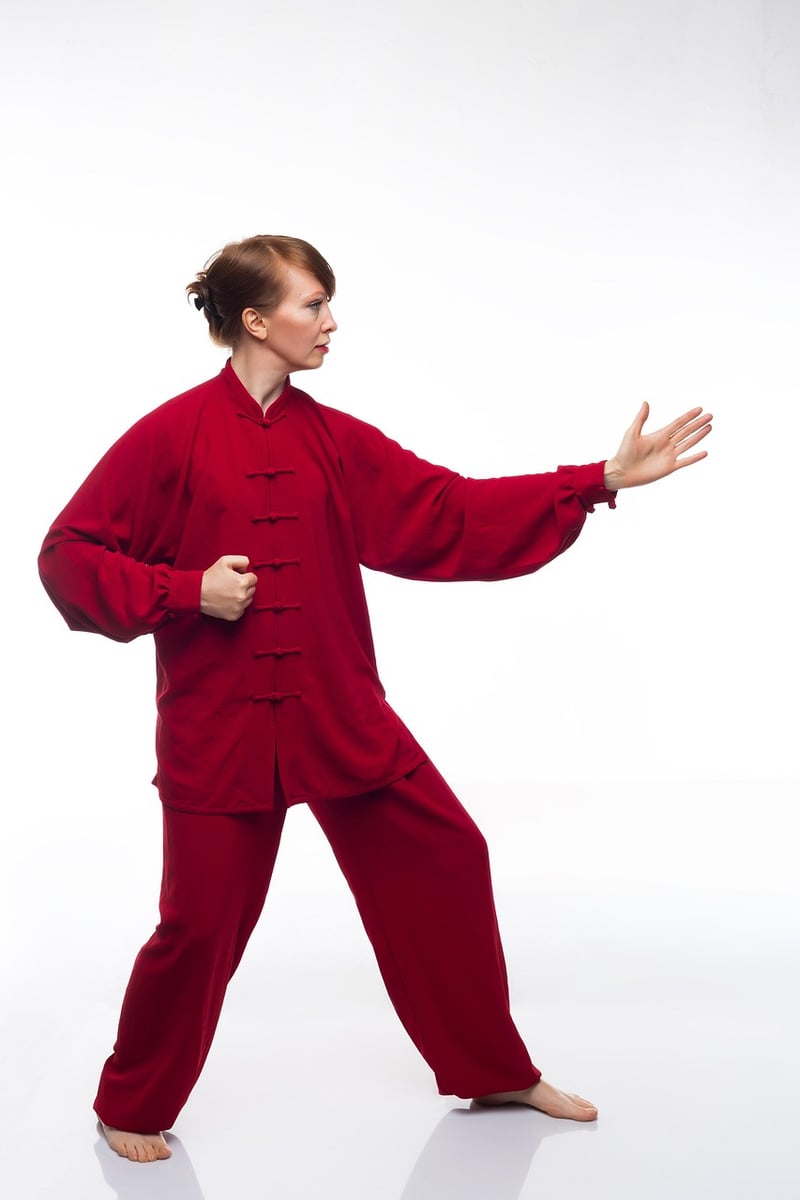 Sun Style Tai Chi